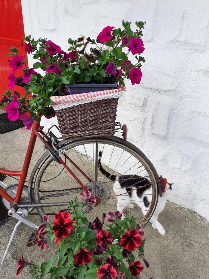 Shannon Breeze Cottage Ballycrossaun Exterior foto
