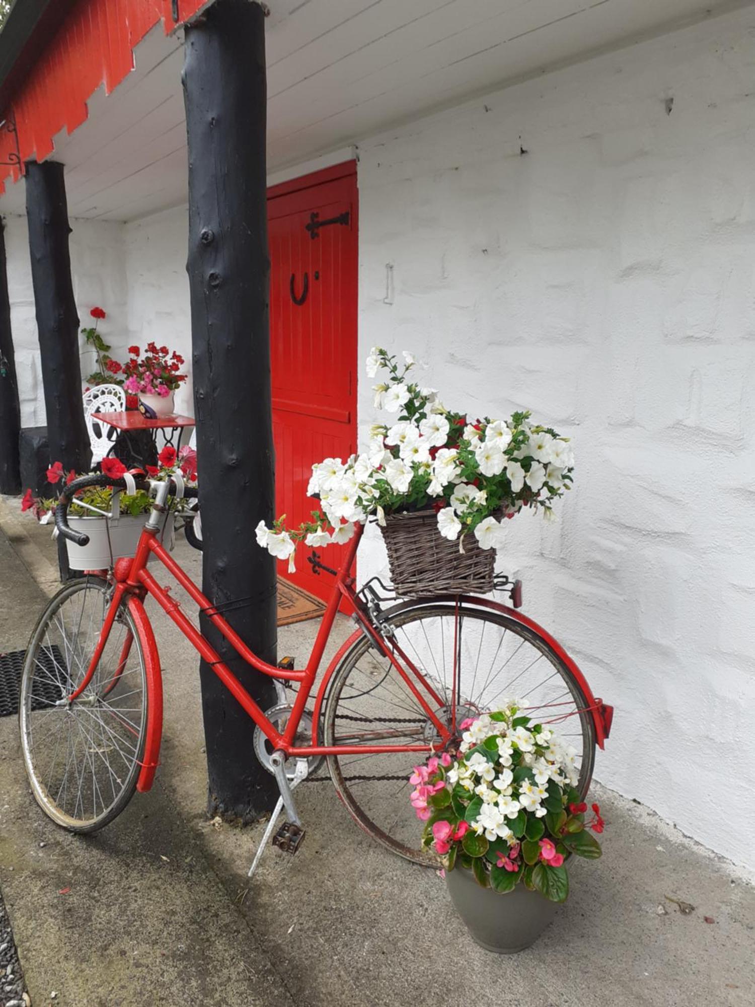 Shannon Breeze Cottage Ballycrossaun Exterior foto